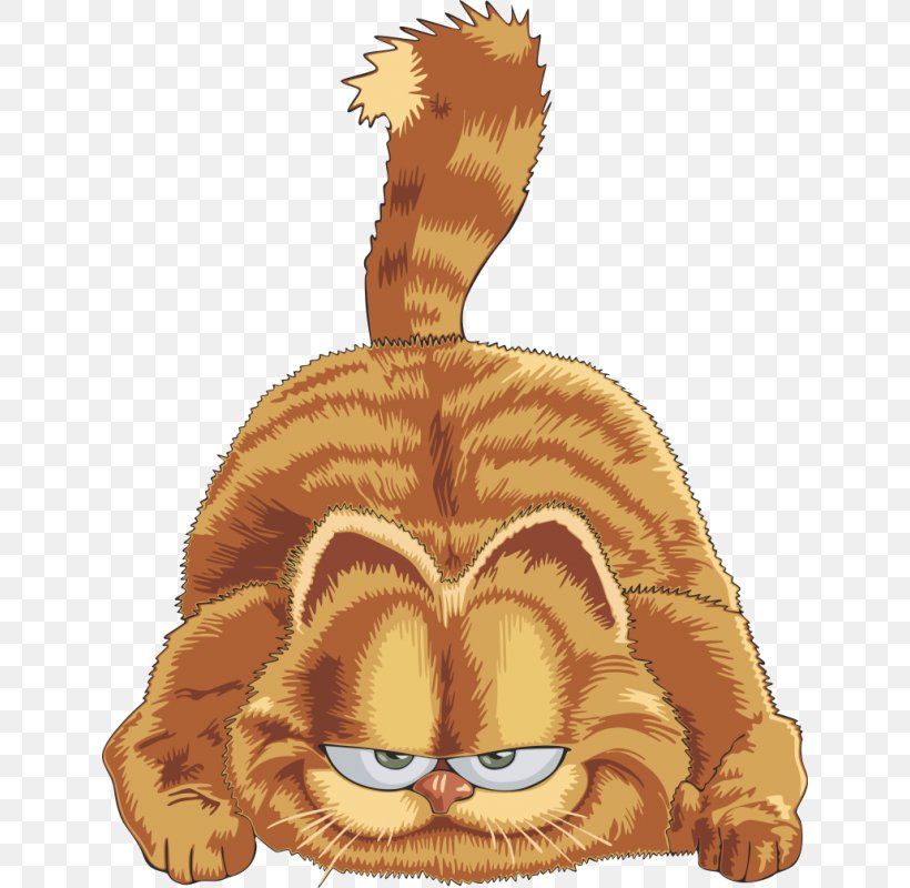 Garfield Cat Clip Art Image Whiskers, PNG, 800x800px, Garfield, Art, Big Cats, Carnivoran, Cartoon Download Free