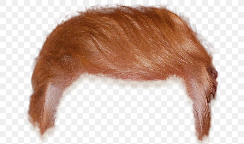 Hair Crippled America Clip Art, PNG, 679x483px, Hair, Crippled America, Dog Like Mammal, Donald Trump, Fur Download Free