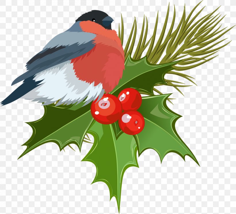Mistletoe Christmas Clip Art, PNG, 1200x1090px, Mistletoe, Aquifoliaceae, Aquifoliales, Beak, Bird Download Free