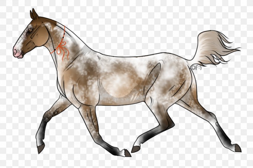 Mustang Appaloosa Mare Pony Stallion, PNG, 900x600px, Mustang, Appaloosa, Bridle, Buckskin, Colt Download Free