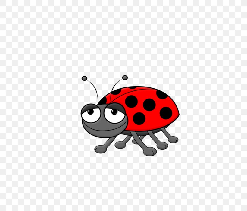 Clip Art Vector Graphics Ladybird Beetle Image Drawing, PNG, 700x700px, Watercolor, Cartoon, Flower, Frame, Heart Download Free