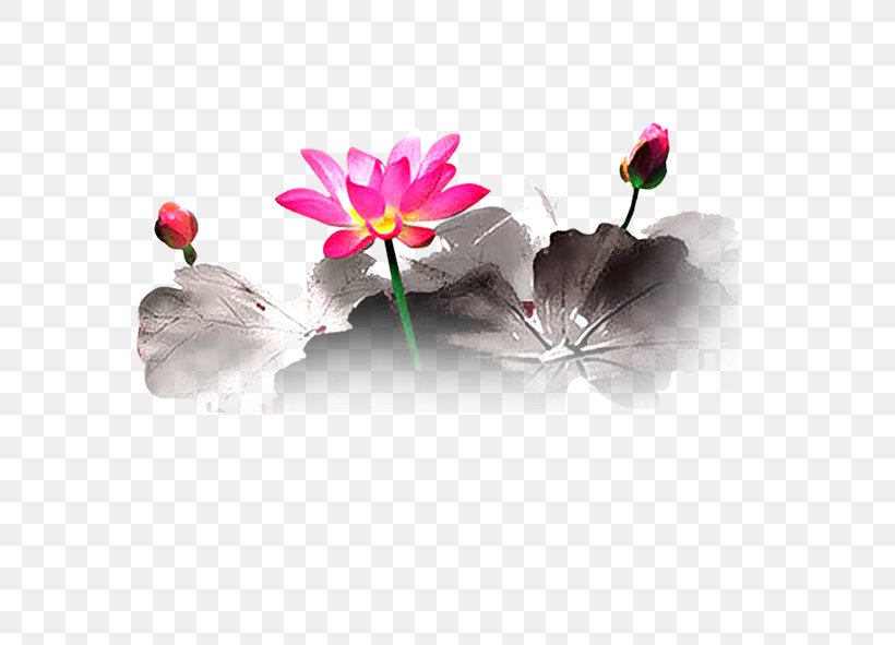 Floral Design Petal Heart Flowering Plant, PNG, 591x591px, Floral Design, Flora, Flower, Flower Arranging, Flowering Plant Download Free
