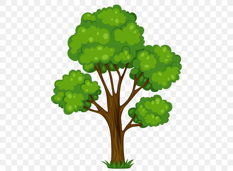 Tree Free Content Clip Art, PNG, 488x600px, Tree, Blog, Branch, Flowering Plant, Free Content Download Free