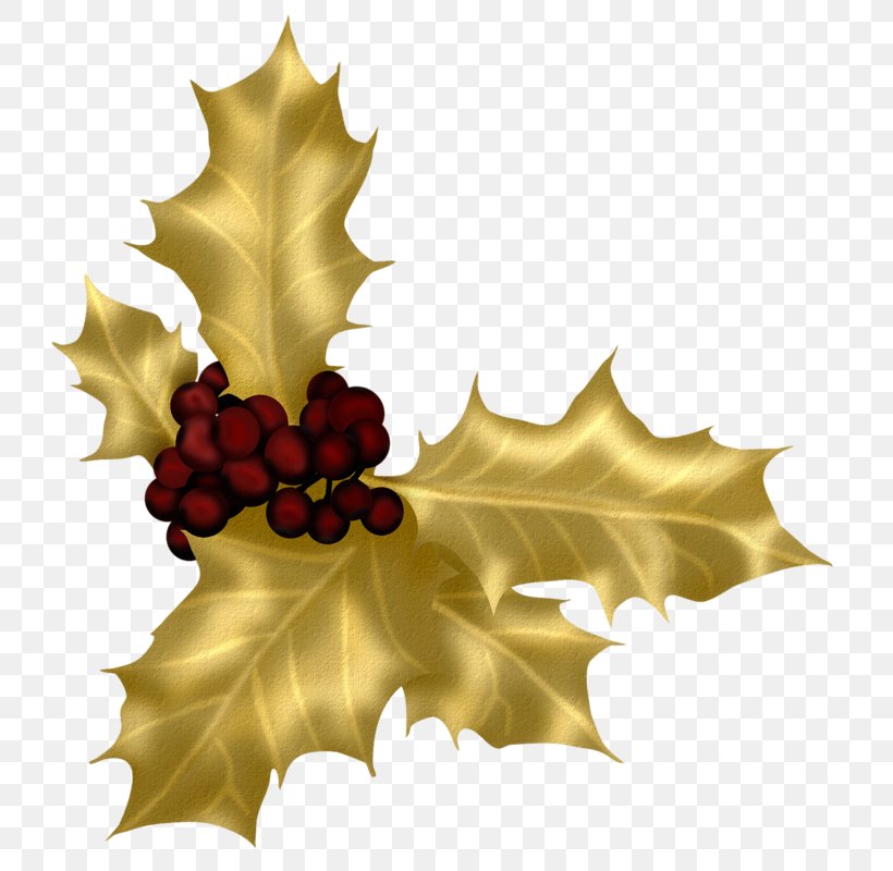 Christmas Clip Art, PNG, 748x800px, Christmas, Aquifoliaceae, Aquifoliales, Cut Copy And Paste, Drawing Download Free