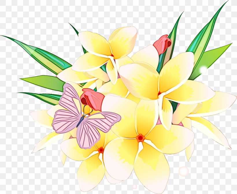 Frangipani Flower Petal Plant Anthurium, PNG, 1337x1097px, Flower Bouquet, Anthurium, Bouquet, Cut Flowers, Flower Download Free