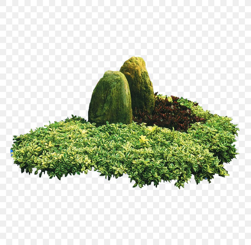 Landscaping Landscape Garden Greening, PNG, 800x800px, Landscaping, Designer, Evergreen, Garden, Grass Download Free