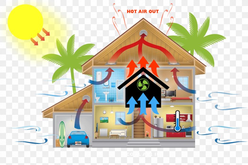 Clip Art Stock Illustration Hawaii Image, PNG, 1200x800px, Hawaii, Area, Art, Attic, Cartoon Download Free