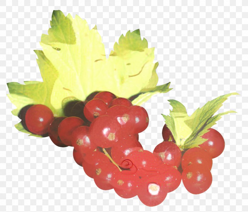 Grape Leaf, PNG, 1067x914px, Zante Currant, Accessory Fruit, Berries, Berry, Bilberry Download Free