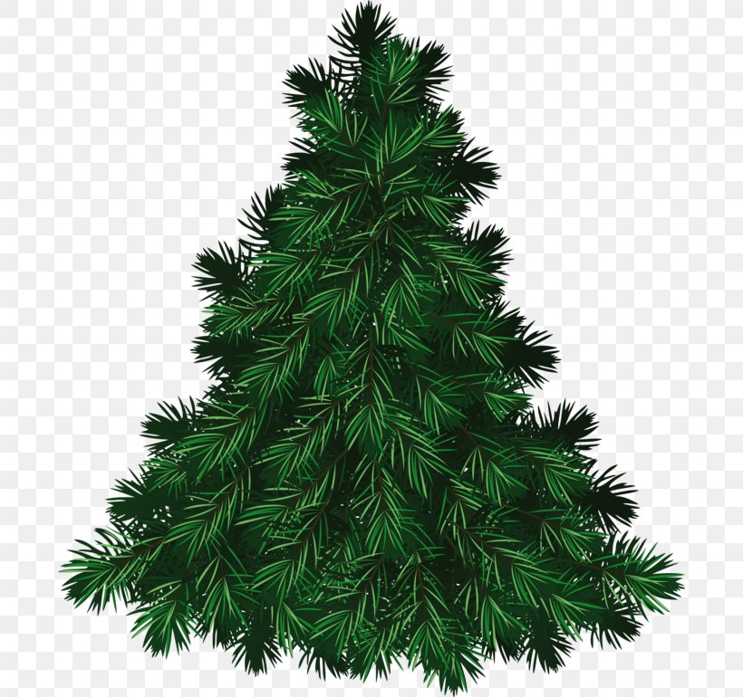 Pine Tree Fraser Fir Clip Art, PNG, 692x770px, Pine, Blue Spruce, Christmas Decoration, Christmas Ornament, Christmas Tree Download Free