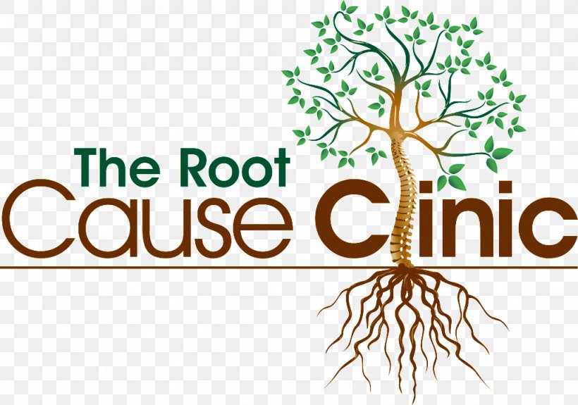 The Root Cause Clinic Hospital Tampa, PNG, 1024x719px, Clinic, Branch, Brand, Causality, Chiropractic Download Free