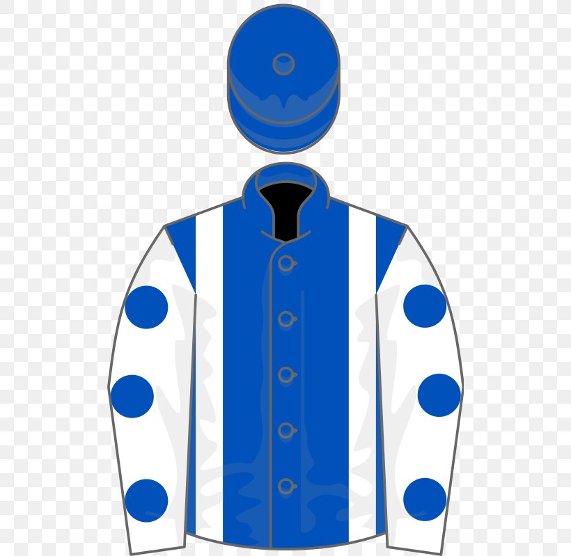 Thoroughbred Ryanair Chase 2017 Melbourne Cup National Hunt Chase Challenge Cup Queen Elizabeth II Stakes, PNG, 512x799px, 2017 Melbourne Cup, Thoroughbred, Blue, Clothing, Don Cossack Download Free