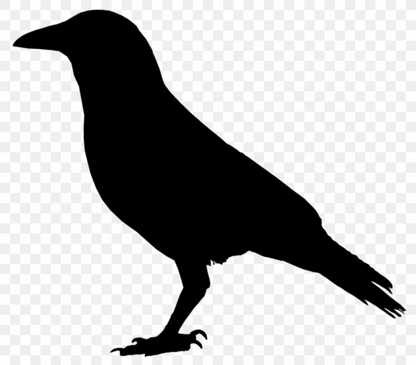 American Crow Raven Cornell Lab Of Ornithology Clip Art, PNG, 954x837px, American Crow, Beak, Bird, Black And White, Common Raven Download Free