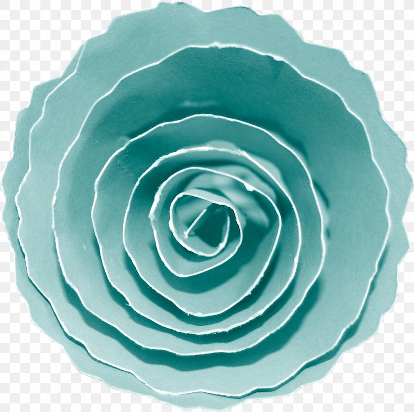Blue Rose Garden Roses Petal, PNG, 1015x1012px, Blue Rose, Aqua, Blue, Dishware, Flower Download Free