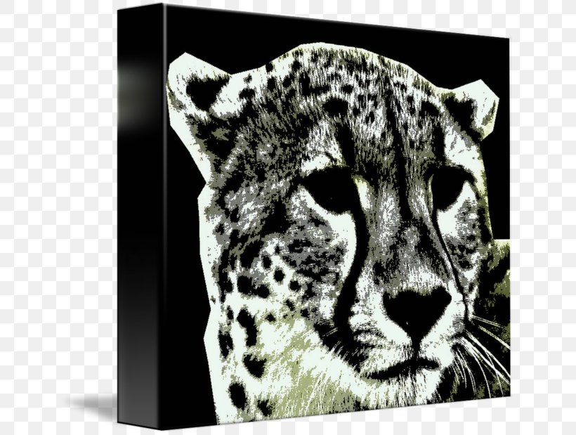 Leopard Cheetah Jaguar Cat Mammal, PNG, 650x619px, Leopard, Animal, Big Cat, Big Cats, Black And White Download Free