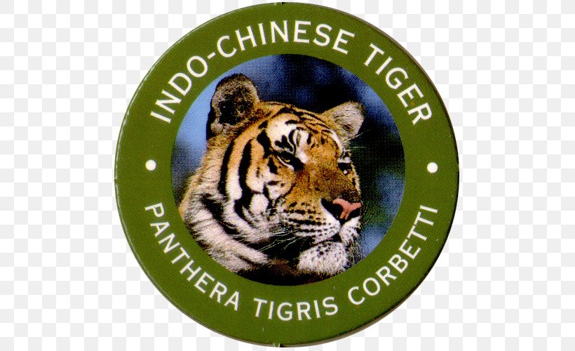Tiger Big Cat Wildlife Animated Film, PNG, 500x500px, Tiger, Animated Film, Big Cat, Big Cats, Carnivoran Download Free