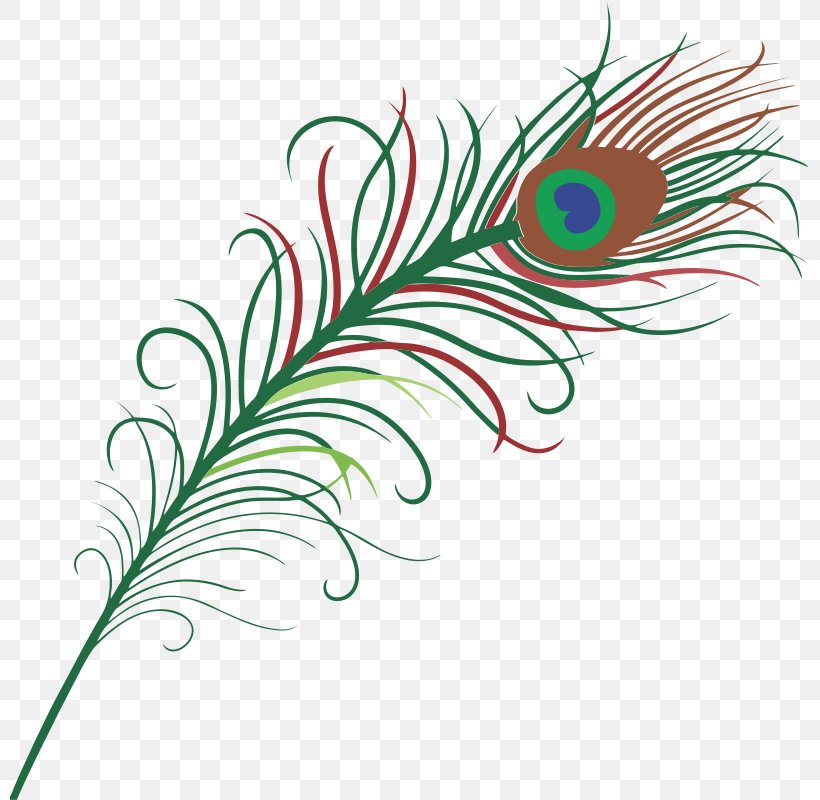 Bird Feather Peafowl Clip Art, PNG, 800x800px, Bird, Drawing, Feather, Flora, Floral Design Download Free