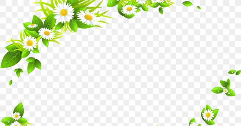 Chamomile Common Daisy Clip Art, PNG, 1200x630px, Chamomile, Area, Branch, Common Daisy, Flora Download Free