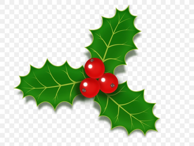 Common Holly Christmas Stock Photography Clip Art, PNG, 1280x960px ...