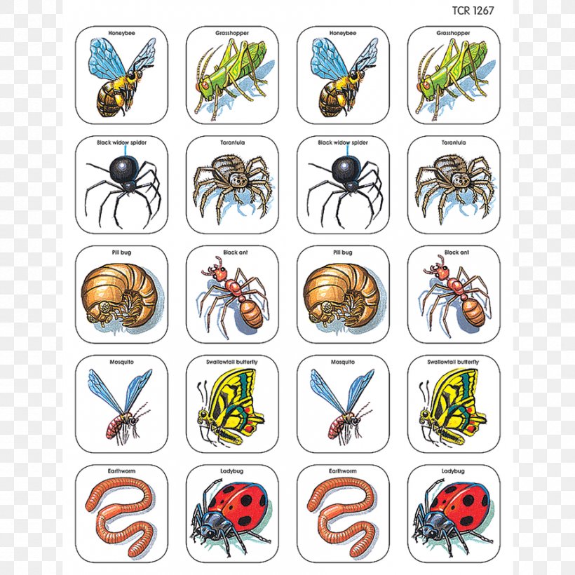 Insect Game Animal Pollinator Drawing, PNG, 900x900px, Insect, Animal, Brain, Child, Concentration Download Free