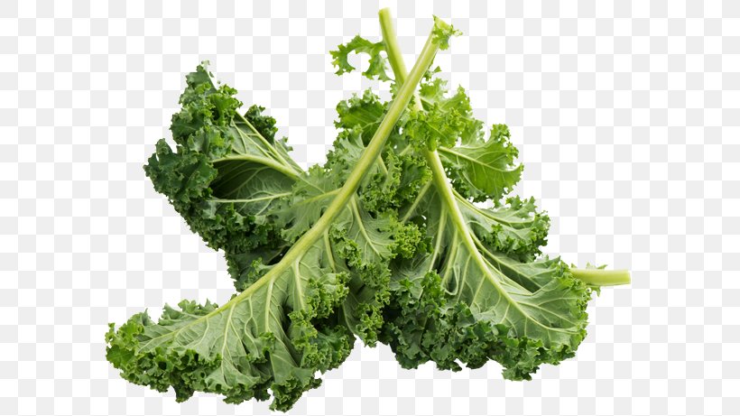 Kale Romaine Lettuce Food Vegetable Calcium, PNG, 600x461px, Kale, Ascorbic Acid, Brassica, Broccoli, Calcium Download Free