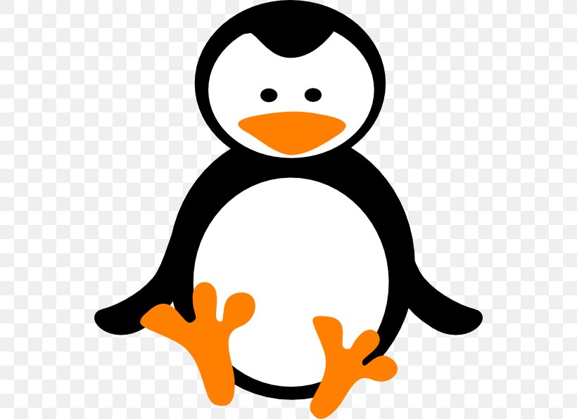 Little Penguin Drawing Clip Art, PNG, 552x596px, Penguin, Adxe9lie Penguin, Artwork, Beak, Bird Download Free