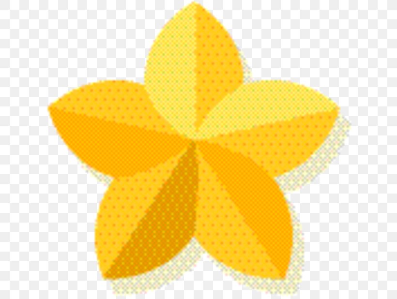 Yellow Flower, PNG, 646x618px, Symmetry, Flower, Leaf, Petal, Plant Download Free