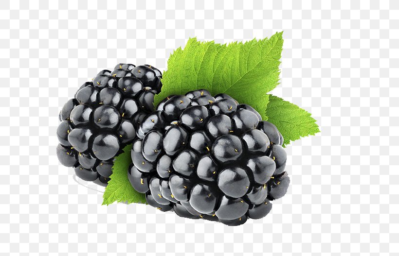 Blackberry, PNG, 789x527px, Marionberry, Berry, Bilberry, Blackberry, Blueberry Download Free
