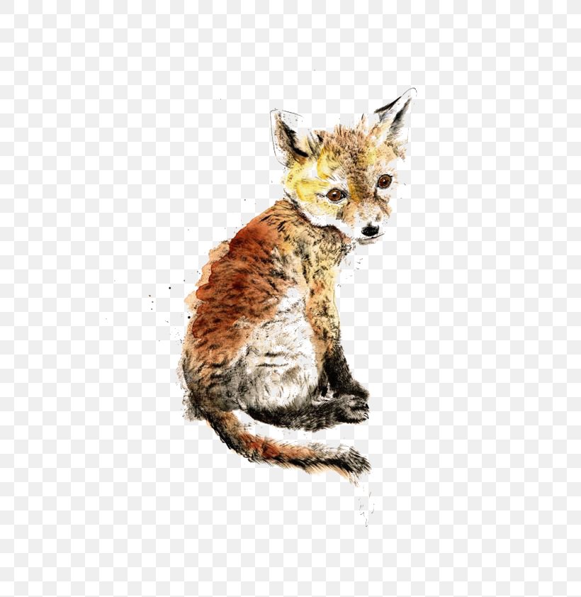 Red Fox Gray Wolf Silver Fox Arctic Fox, PNG, 564x842px, Red Fox, Arctic Fox, Art, Carnivoran, Cat Like Mammal Download Free
