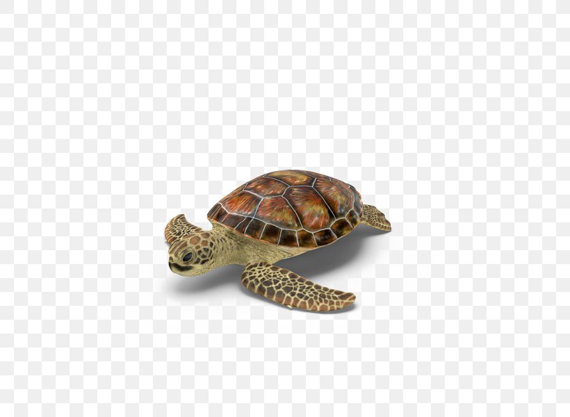 Box Turtles, PNG, 600x600px, Box Turtles, Box Turtle, Emydidae, Reptile, Sea Turtle Download Free