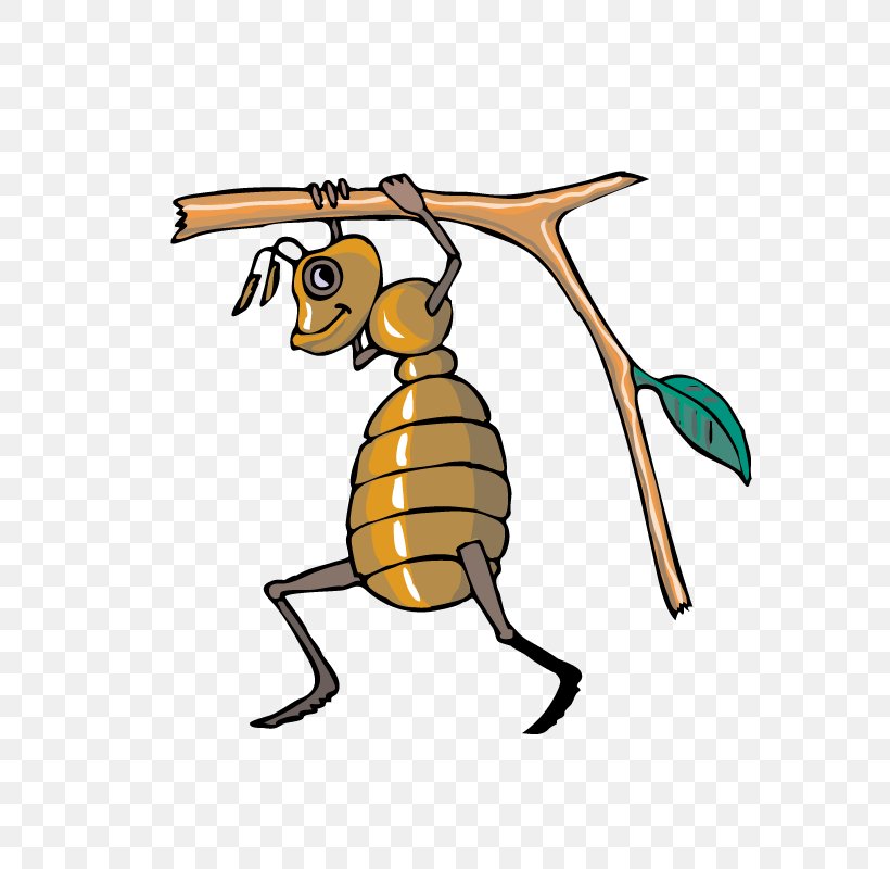 Honey Bee Ant Clip Art, PNG, 800x800px, Bee, Ant, Artwork, Carpenter Bee, Cartoon Download Free