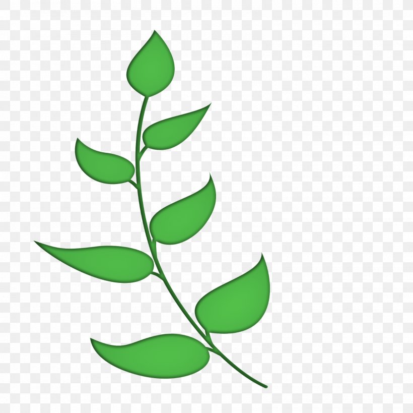 Plant Stem Leaf Flowering Plant Clip Art, PNG, 1600x1600px, Plant Stem, Artwork, Branch, Flora, Flower Download Free