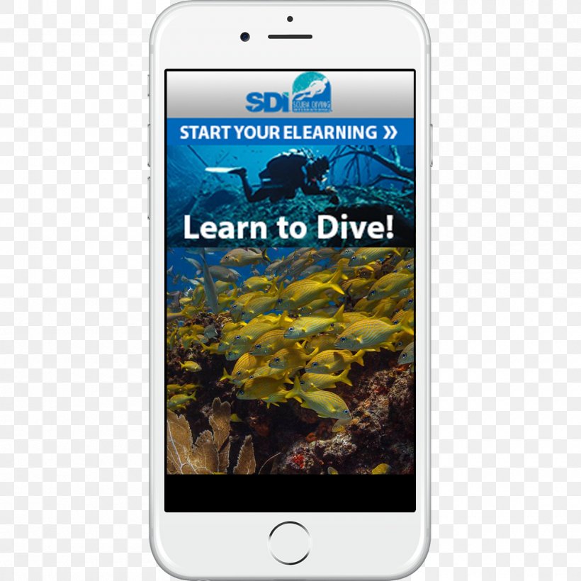 Smartphone HTC Desire Eye Professional Association Of Diving Instructors Scuba Diving Underwater Diving, PNG, 1000x1000px, Smartphone, Apprendimento Online, Cellular Network, Communication Device, Diving Instructor Download Free