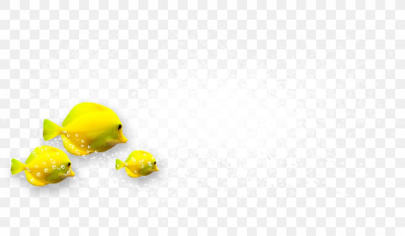 Desktop Wallpaper Yellow Close-up Body Jewellery Fruit, PNG, 2987x1744px, Yellow, Body Jewellery, Body Jewelry, Closeup, Computer Download Free