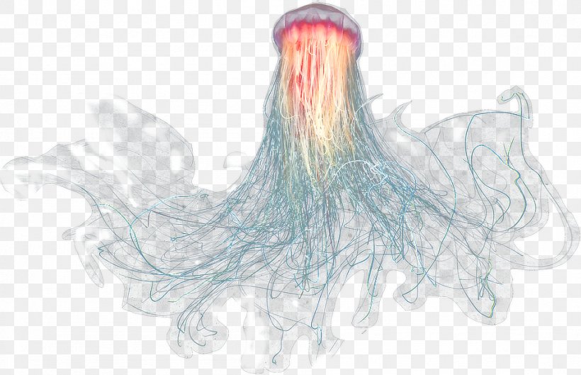 Jellyfish Sea Oceanic Zone, PNG, 947x611px, Jellyfish, Animal, Deep Sea Creature, Fictional Character, Hair Coloring Download Free