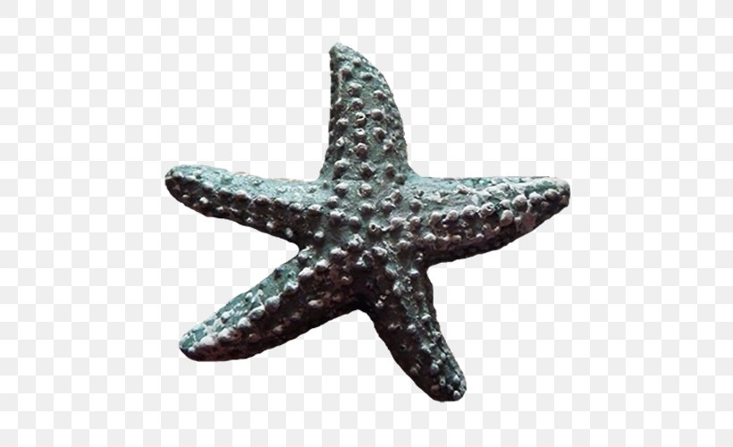 Starfish Download, PNG, 500x500px, Starfish, Beach, Designer, Echinoderm, Gratis Download Free