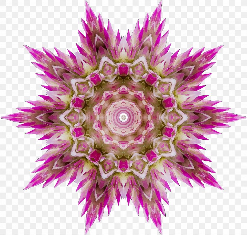 Symmetry Clip Art Geometry Ornament Geometric Shape, PNG, 2711x2583px, Symmetry, Flower, Fractal, Fractal Art, Geometric Shape Download Free