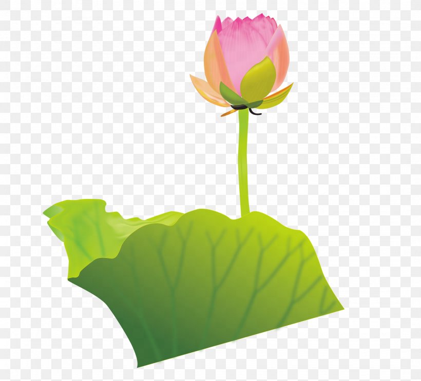 Buddhism Clip Art, PNG, 2150x1950px, Buddhism, Computer, Flower, Flowering Plant, Leaf Download Free