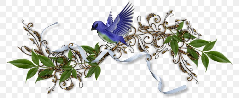 Delimiter Painting, PNG, 779x338px, Delimiter, Beak, Bird, Blog, Body Jewelry Download Free