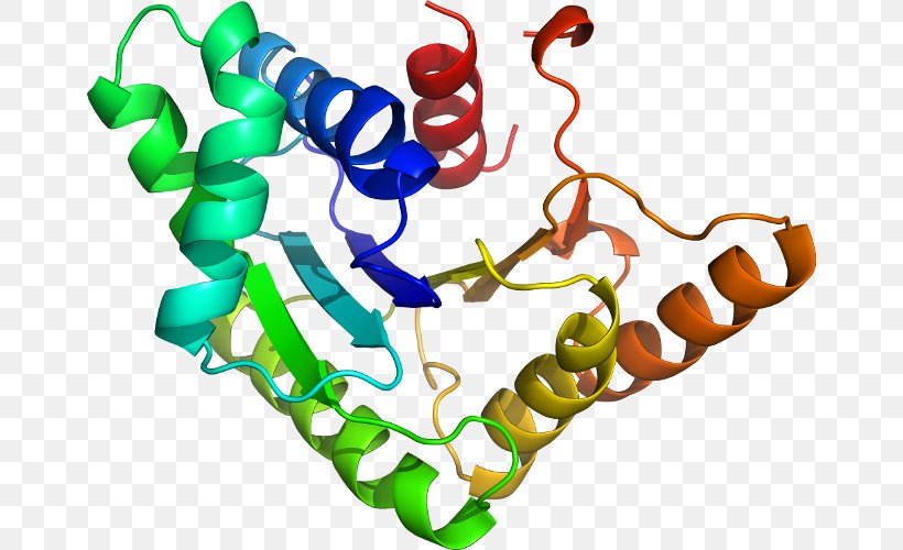 Drug Discovery Protein Tyrosine Phosphatase Estrogen Receptor Homology Modeling, PNG, 662x500px, Drug Discovery, Active Site, Area, Body Jewelry, Enzyme Inhibitor Download Free