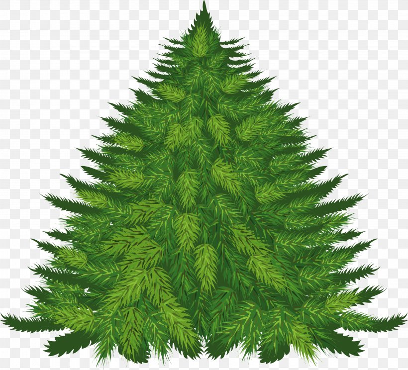 Fir Pine Cedar Tree Clip Art, PNG, 3603x3272px, Tree, Biome, Christmas, Christmas Decoration, Christmas Ornament Download Free