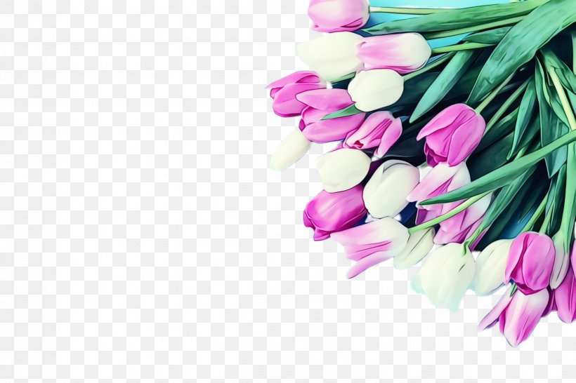 Pink Tulip Flower Plant Petal, PNG, 2448x1632px, Watercolor, Cut Flowers, Flower, Flowering Plant, Lily Family Download Free