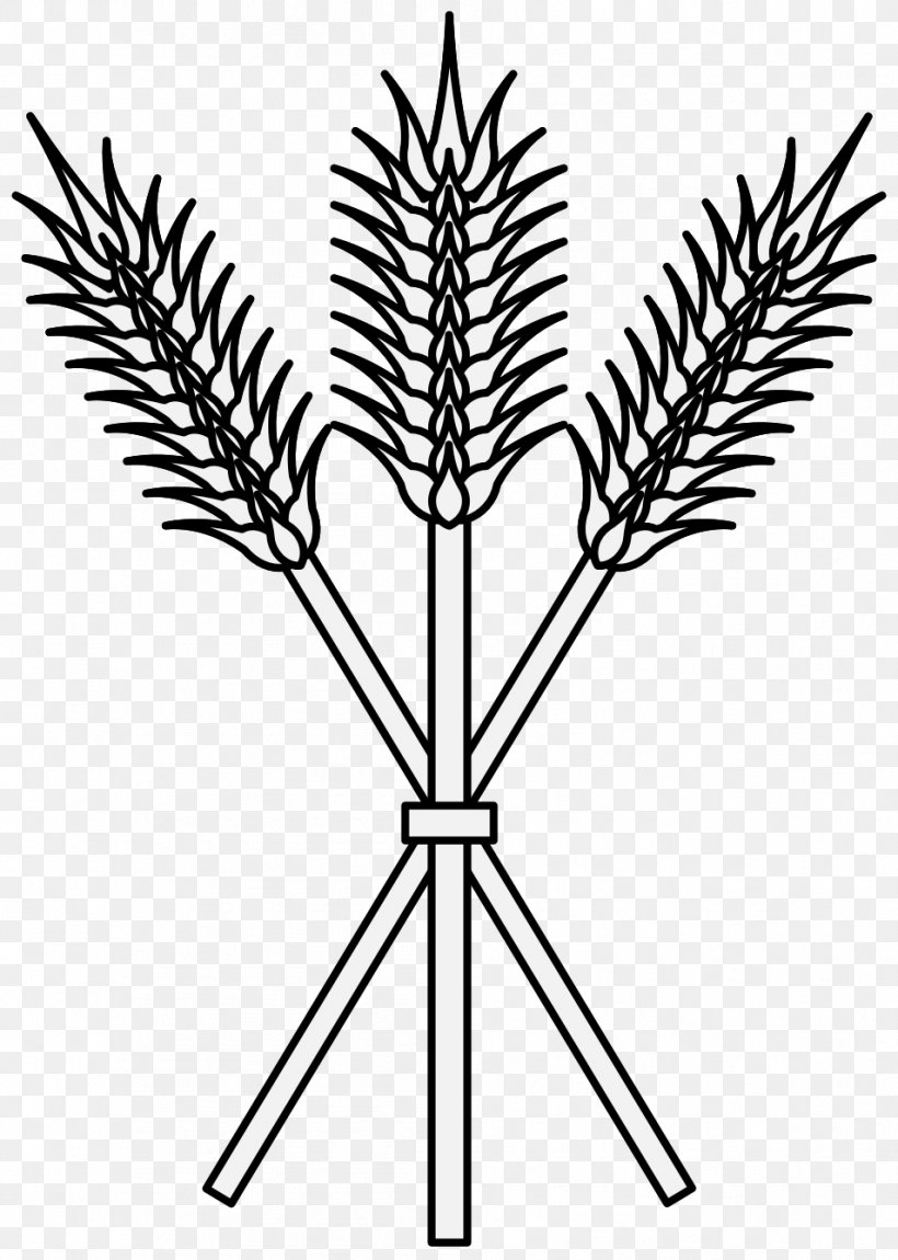 Plant Stem Drawing Heraldry Clip Art, PNG, 954x1338px, Plant Stem, Art, Black And White, Branch, Drawing Download Free