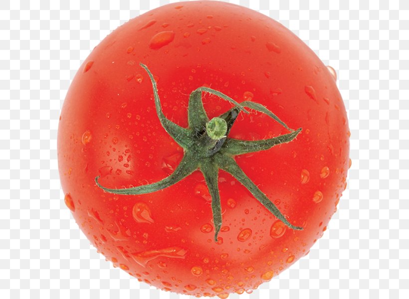 Plum Tomato Bush Tomato Vegetable, PNG, 591x600px, Plum Tomato, Bush Tomato, Food, Fruit, Fruit Vegetable Download Free