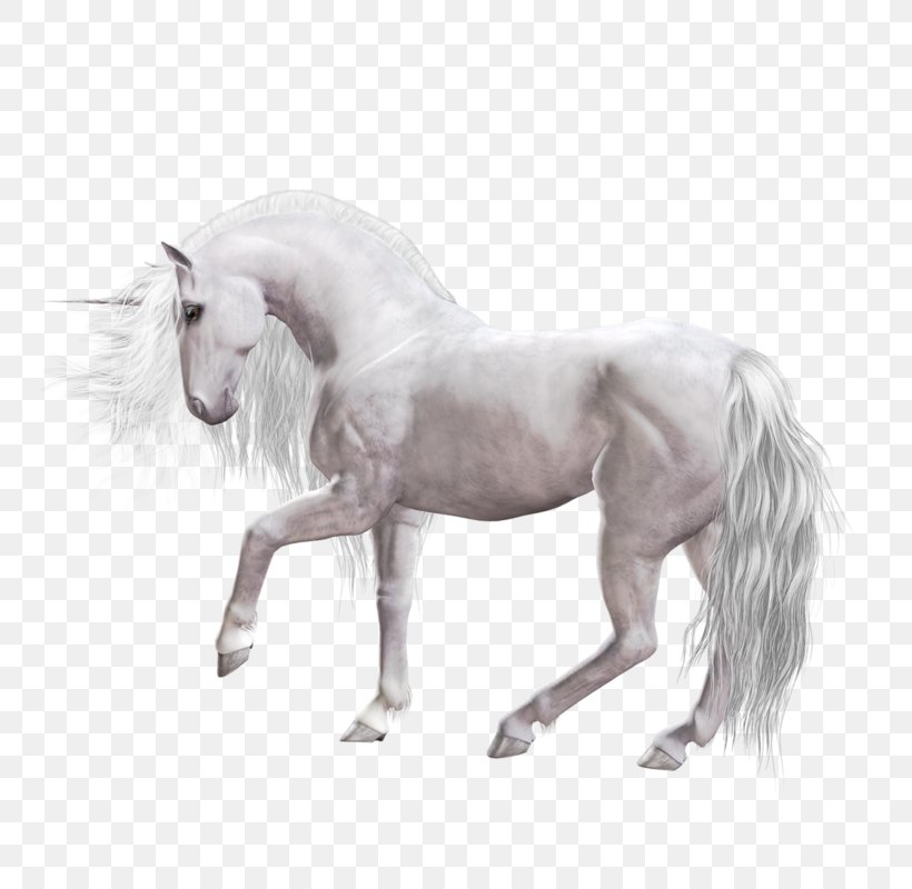 Unicorn Mustang Mane Foal Stallion, PNG, 800x800px, Unicorn, Animal Figure, Colt, Donkey, Fictional Character Download Free