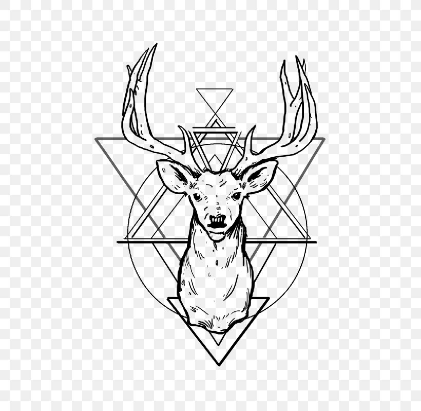 White-tailed Deer Reindeer Antler Drawing, PNG, 800x800px, Deer, Antler, Art, Artwork, Black And White Download Free