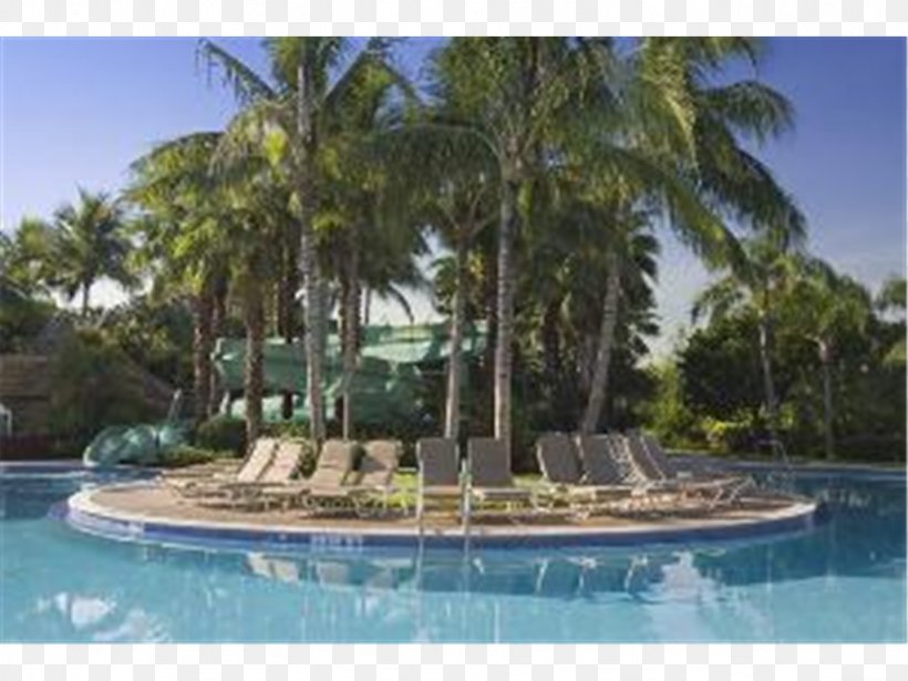 Hyatt Regency Coconut Point Resort And Spa Hyatt Regency Coconut Point Resort And Spa Hotel Swimming Pool, PNG, 1024x768px, Resort, Amenity, Arecales, Coconut Road, Estate Download Free