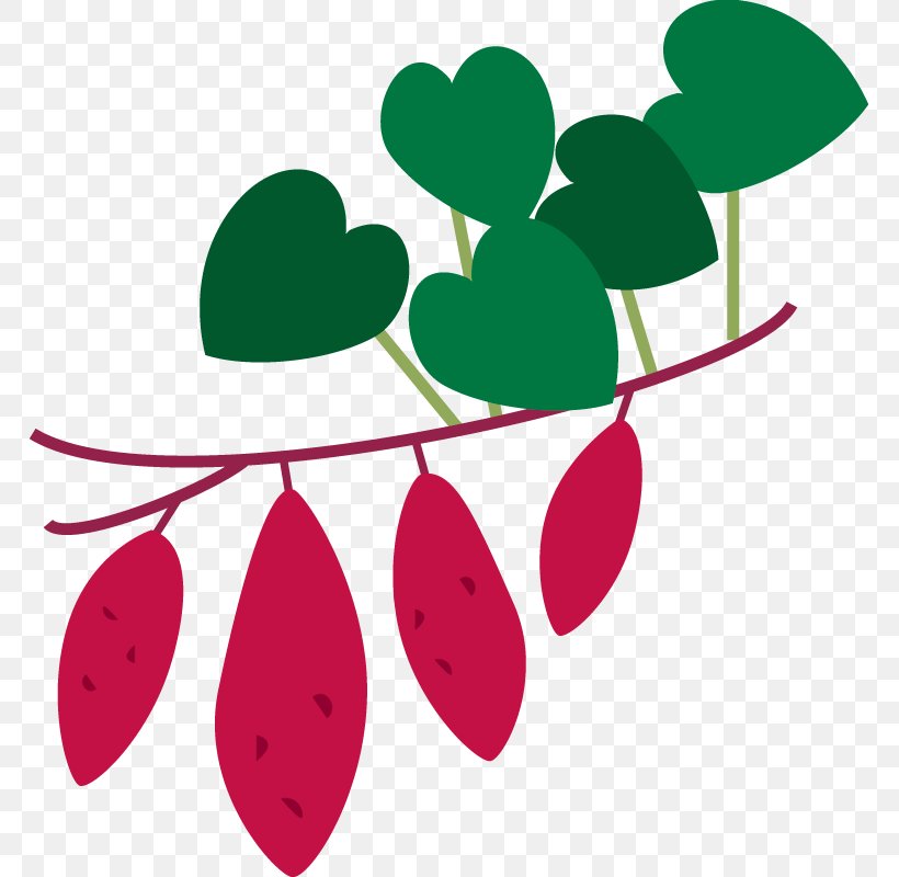 Sweet Potato Leaf Clip Art, PNG, 765x800px, Sweet Potato, Artwork, Flower, Flowering Plant, Food Download Free