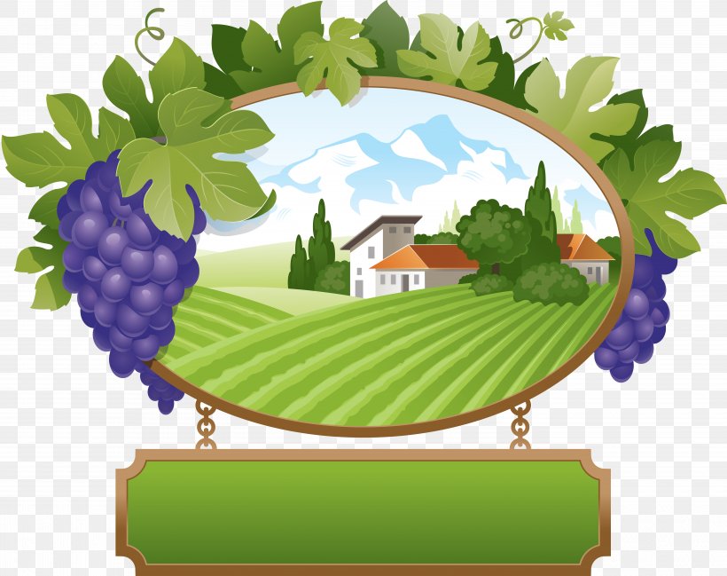 Wine Common Grape Vine Royalty-free Clip Art, PNG, 5884x4661px, Wine, Cartoon, Common Grape Vine, Drawing, Flowering Plant Download Free