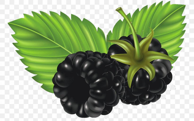 Blackberry Berries Fruit Raspberry Strawberry, PNG, 1280x800px, Blackberry, Berries, Brambles, Food, Fruit Download Free