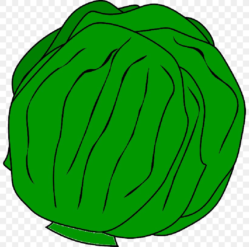 Clip Art Squash Salad Iceberg Lettuce Melon, PNG, 800x816px, Squash, Bacon, Bell Pepper, Cabbage, Cartoon Download Free